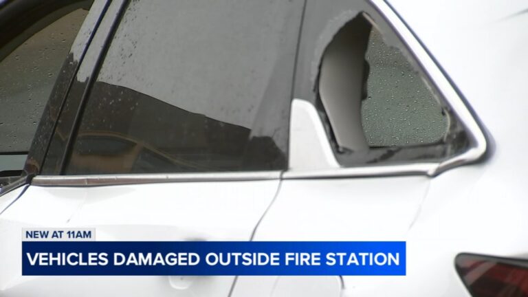 Englewood Arrest: Jacob Bogdan Allegedly Targets Chicago Fire Department Cars with Axe