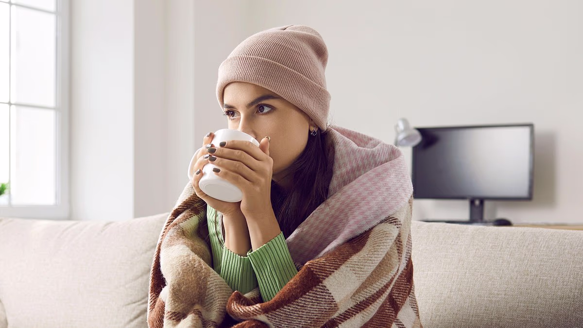 Experts warn of record cases of deadly flea-borne illness