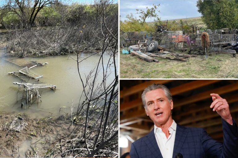Homeless Encampments Impact California’s Scenic River Areas Near Gavin Newsom’s Residence