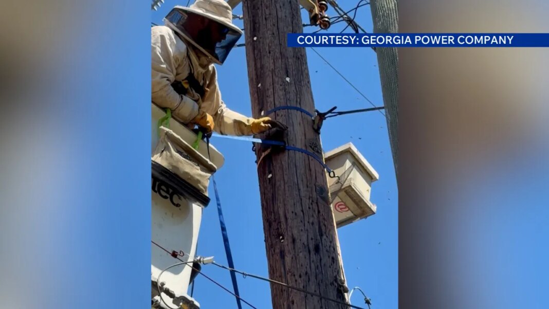 Georgia Power lineman finds buzzzzzing surprise
