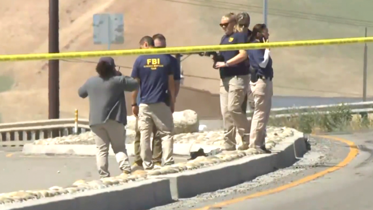 ICE Agents Engage in Shooting Incident Following Alleged Attempted Vehicle Assault by Suspected Gang Member