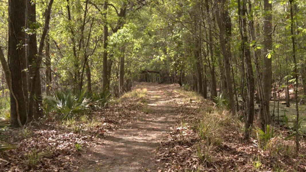 Industrial warehouses could put the Savannah-Ogeechee Canal at risk