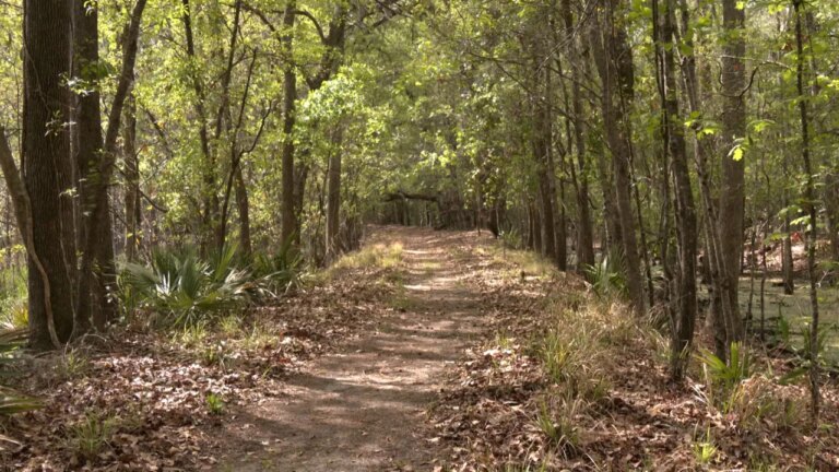 Expansion of Industrial Warehouses Poses Threat to Savannah-Ogeechee Canal