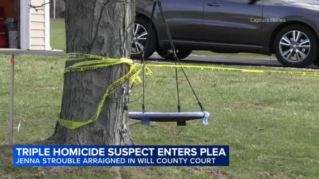 Jenna Strouble pleads not guilty in Crete Township triple shooting that killed Jacob Lambert, Stacy and Patrick Forde: court docs