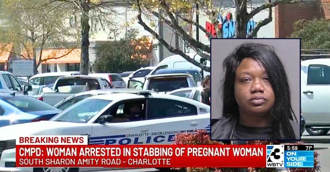 'Like a horror film': Pregnant mom walking in grocery store parking lot with toddler stabbed by woman in broad daylight after having 'no prior interactions' with her, police say