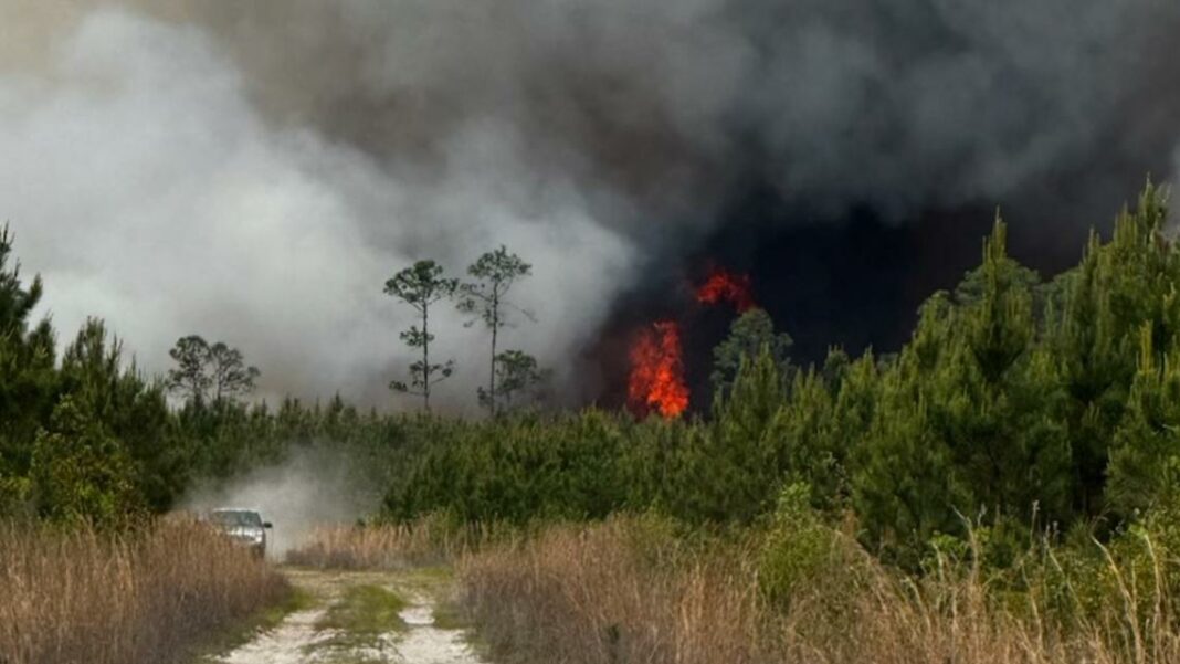 Live Updates | Raging Brantley County wildfire moves rapidly over the weekend, doubling in size