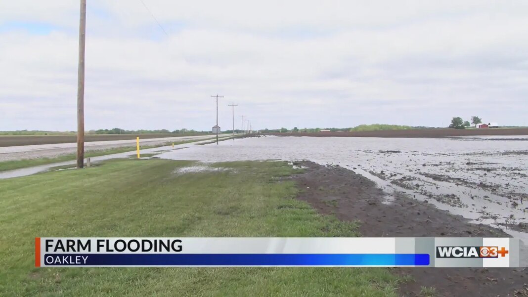 Macon Co. farmers no longer worried about drought — too much rain is now the concern