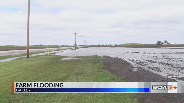 Macon County Farmers Face New Challenge: Excessive Rainfall Replaces Drought Fears