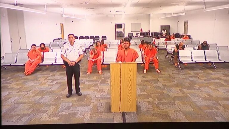 Breaking News: Hit-and-Run Suspect Arrested Faces Multiple New Charges – HCSO Update