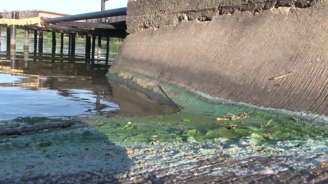 Mattoon continues to monitor drinking water nearly a year after algae blooms