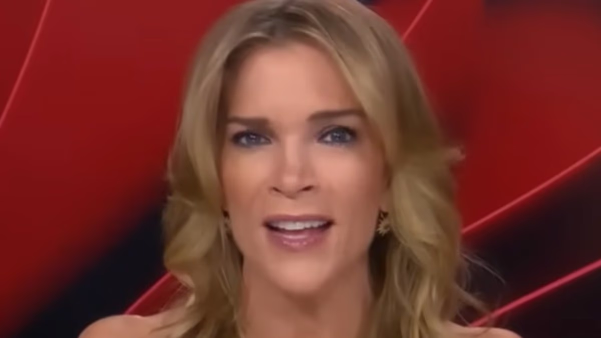 Megyn Kelly slams Melania Trump over her shock Epstein statement