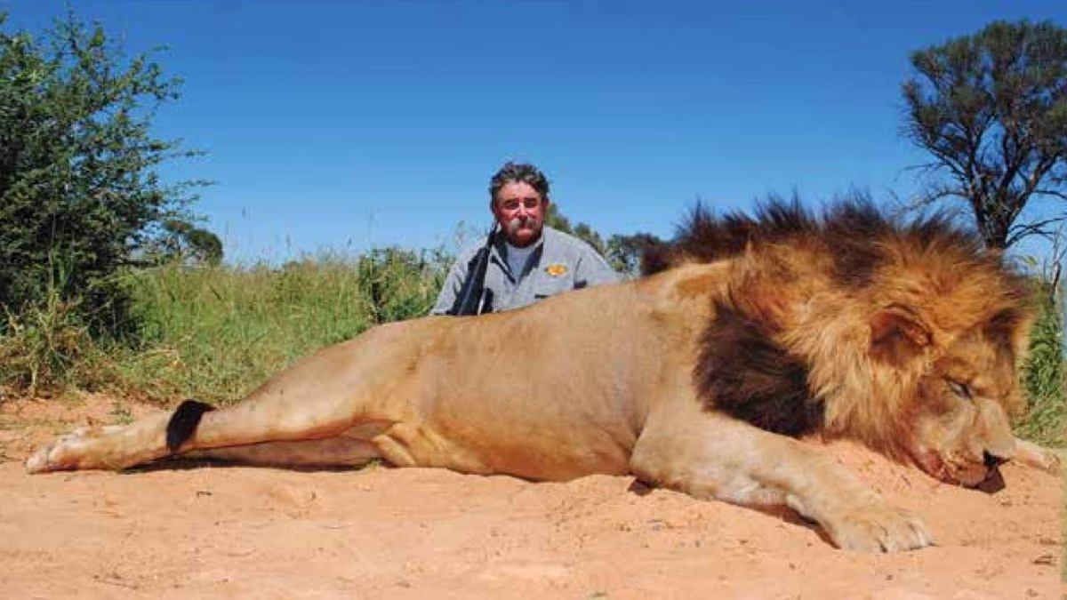 Millionaire US big game hunter is trampled to death by elephants