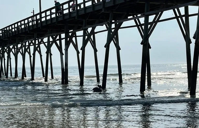 Mom and boyfriend charged at NC coast after girl dunked under surf at Sunset Beach pier, police say