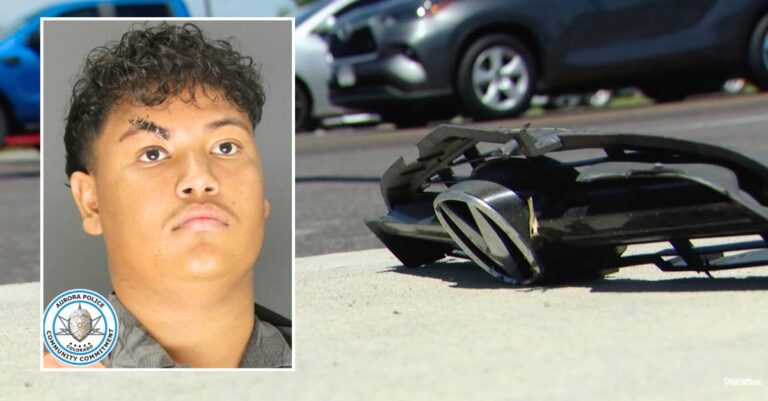 Tragic Collision: Mother and Daughter Fatally Struck by Audi Driver on Their Way Home from Work