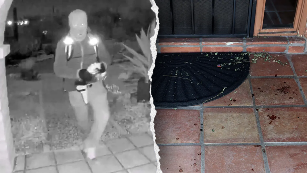 Nancy Guthrie's front door blood evidence points to ‘single abductor’: former FBI profiler