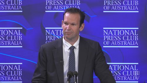 N﻿ationals Leader Matt Canavan has called for new cities, more babies and a domestic space industry as part of his "Australia on steroids" economic plan.