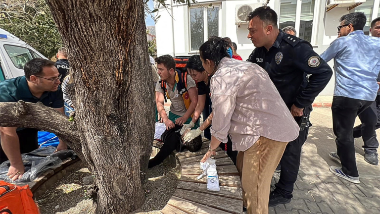 Second Turkish Mass Shooting in Two Days Leaves Nine Dead and Thirteen Injured