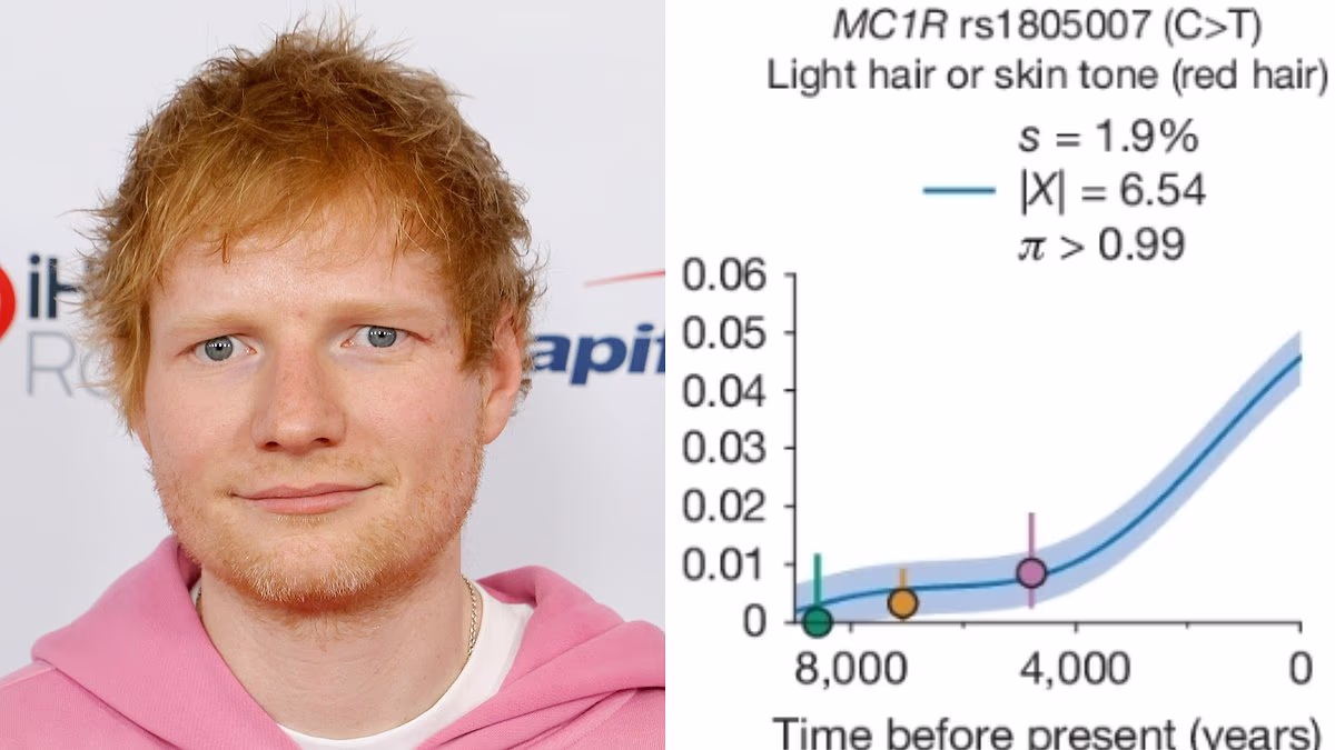 Number of redheads surges in Europe - and scientists don't know why