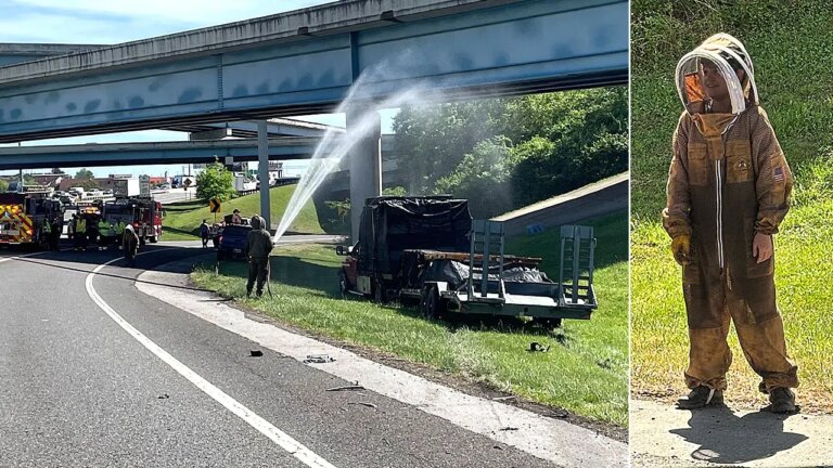 Massive Bee Swarm Causes Major Interstate Ramp Shutdown After Truck Crash