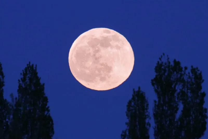 Pink Moon 2026: When to see April's full moon