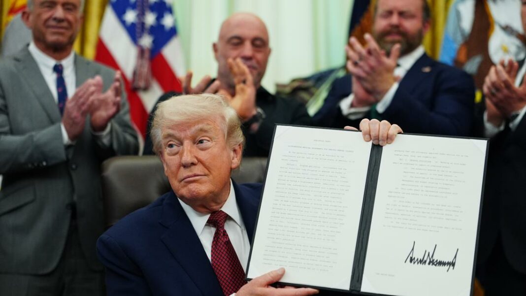 President Trump orders faster review of psychedelic drugs for mental health treatment