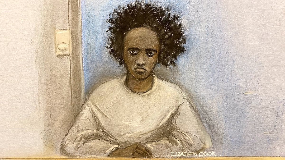 Southport killer's parents 'should have stopped him' and done their 'moral' duty by reporting him to the police, damning report reveals