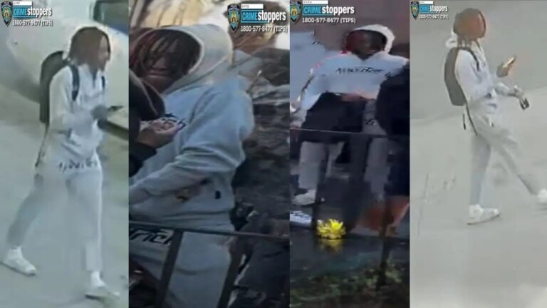 Fugitive Apprehended in Connection with Filmed Homicide of 15-year-old in NYC Park