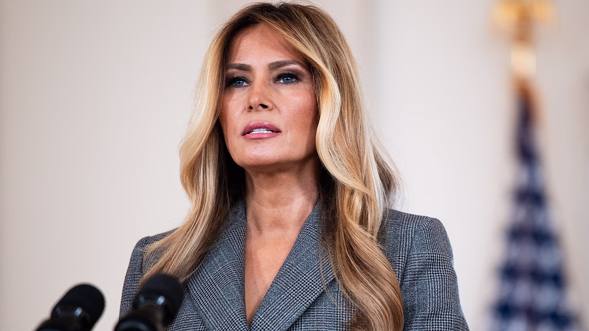Trump says Melania 'had a right' to talk about Epstein