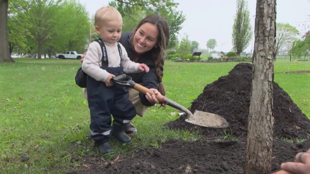 U of I arboretum celebrates Arbor Day, major achievement