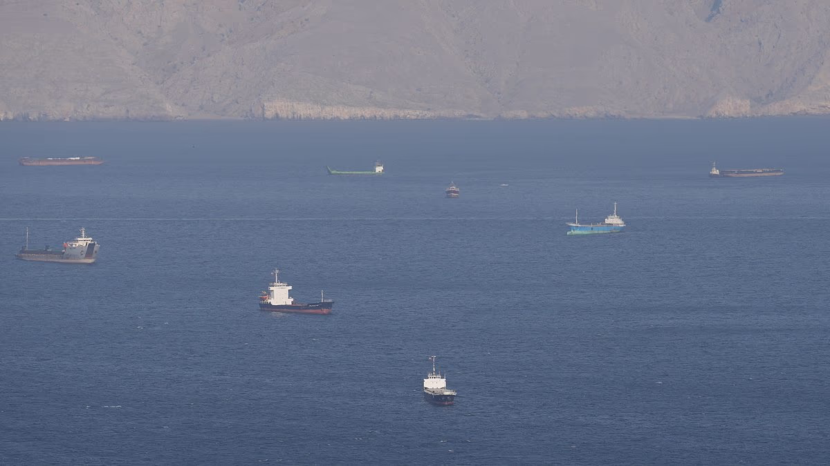 US military 'preparing to board Iran-linked ships in just DAYS'