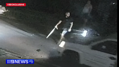 Vigilante faces court after violent bid to stop thieves from stealing his ute