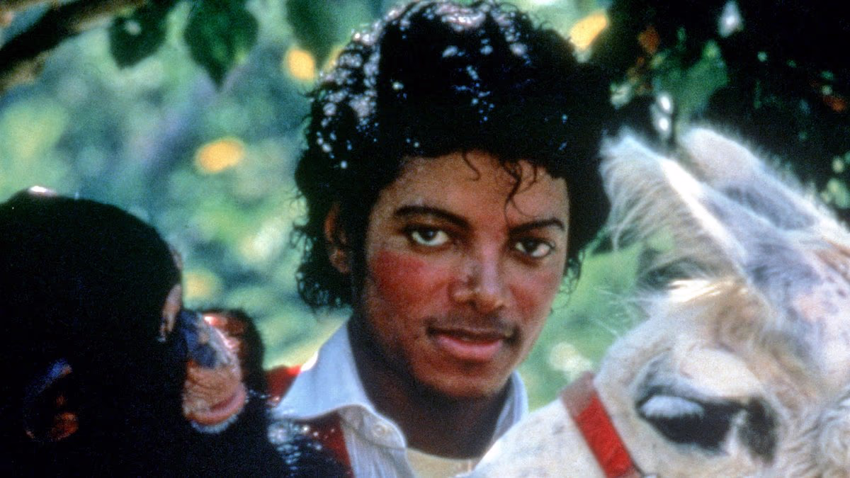 Where Michael Jackson's pet chimp is now as sanctuary gives update