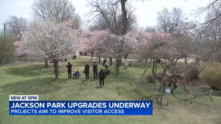 Discover 2026: Cherry Blossoms Illuminate Jackson Park and Exciting Updates at Chicago’s Obama Presidential Center and MSI