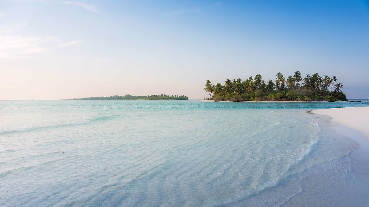 Wife of shark attack victim accuses Maldives tour firm of 'negligence'