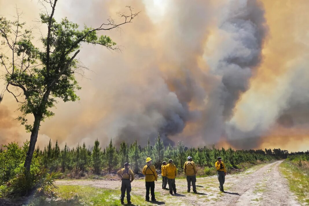 This photo provided by the Georgia Department of Natural Resources shows firefighters responding to the Pineland Road Fire in southeast Georgia on Wednesday, April 22, 2026. (Georgia Department of Natural Resources via AP)
