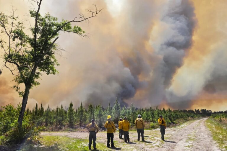 Devastating Wildfires in Georgia and Florida: Over 50 Homes Lost and Mass Evacuations Underway