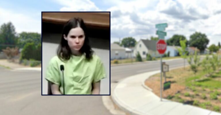 Daughter’s Chilling Diary Reveals Plot Before Fatal Confrontation with Father