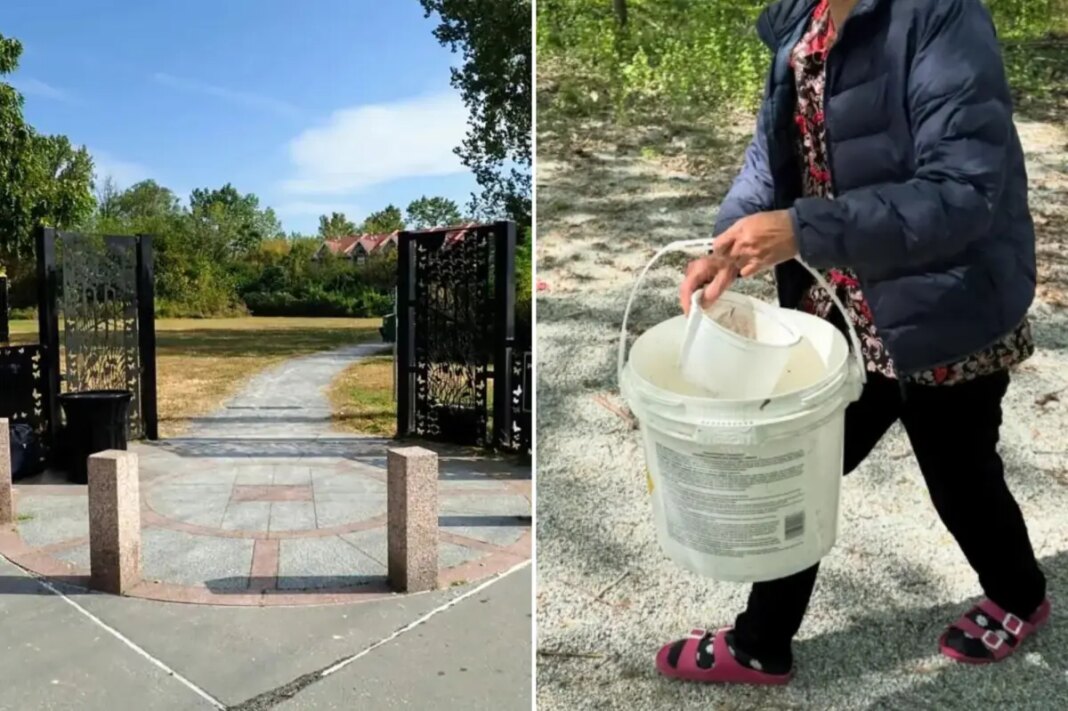 You won't believe what scofflaws do to Powell's Cove Park