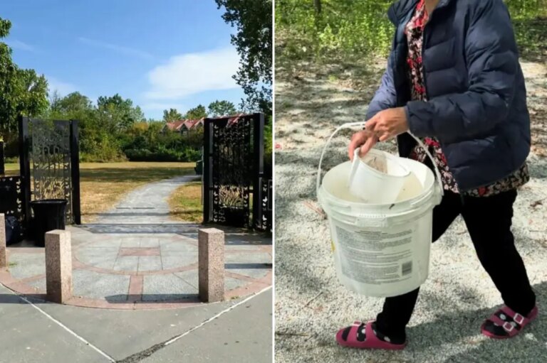 Vandals Target Powell’s Cove Park: Shocking Acts of Destruction Uncovered