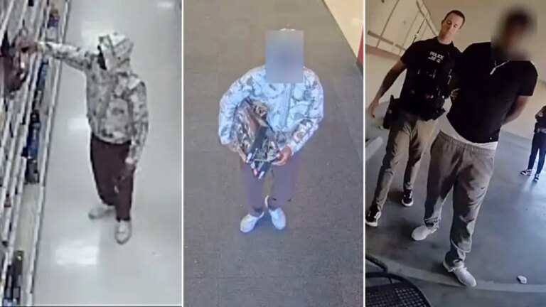 Lego Bandit Swaps Minifigures for Pasta in Unusual $34K Heist