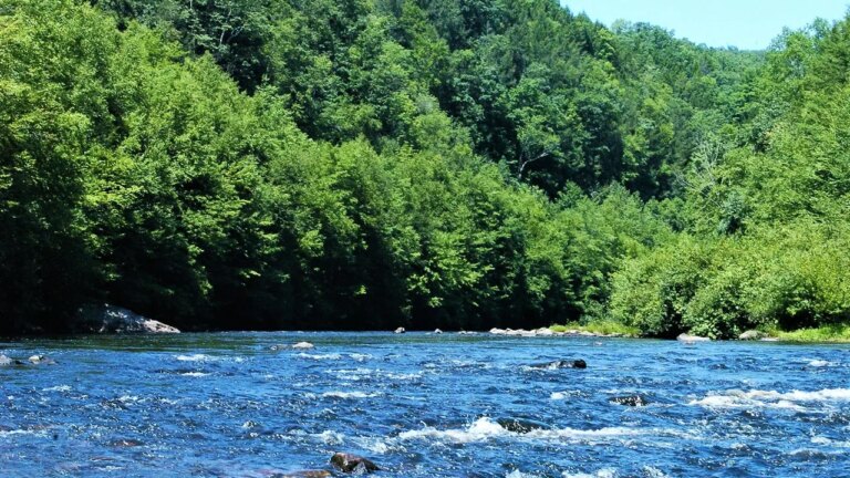 Tragic School Trip Incident: 12-Year-Old Boy Loses Life in Pennsylvania Raft Accident