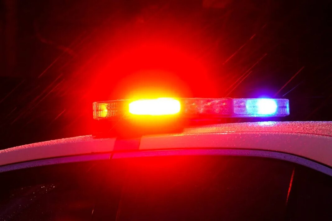 3 killed, more injured after driver crashes into crowd in California