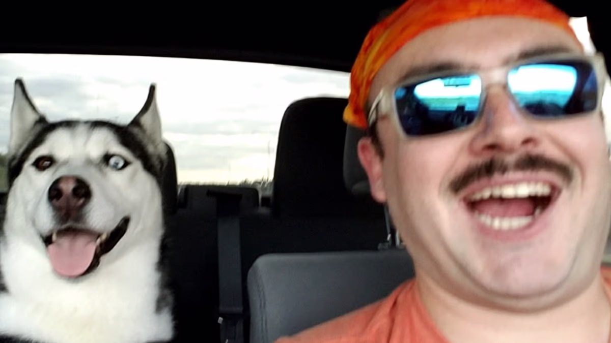 Airman who trusted sitter with dog returns home to nightmare