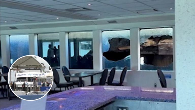 Alcatraz City Cruises Ferry Collision at San Francisco’s Pier 31: Passenger Windows Shattered
