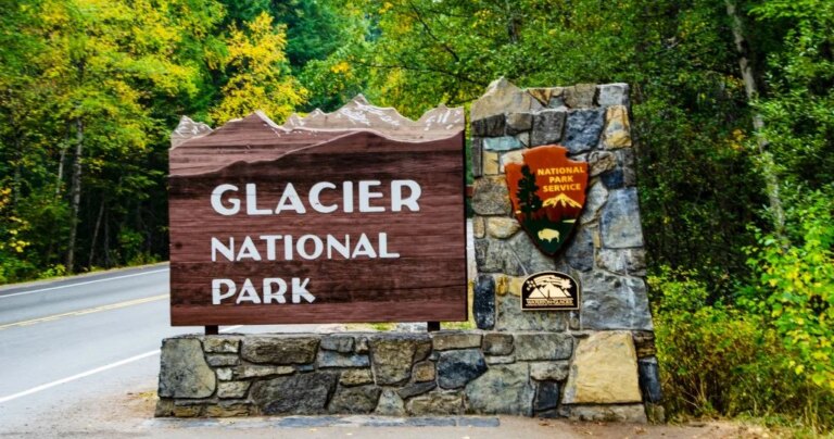 Tragic Bear Encounter: Hiker Fatally Mauled in Montana’s Glacier National Park
