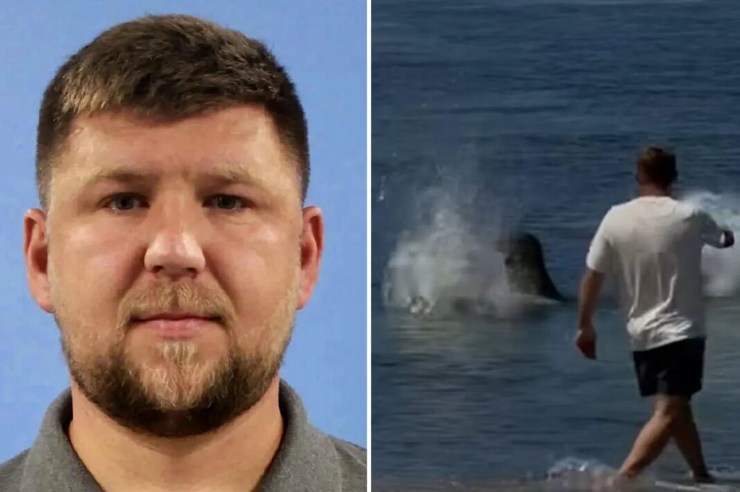 Arrogant tourist who threw huge rock at Hawaiian seal gives ridiculous reason for attack
