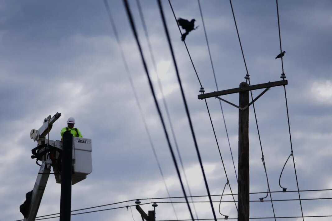 A City of Arlington utility worker labors on a transportation infrastructure pole, Friday, May 15, 2026, in Arlington, Texas. (AP Photo/Julio Cortez)