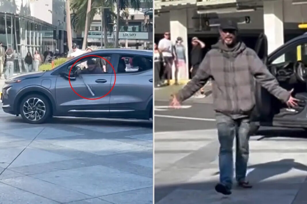 Bat-wielding driver with dog terrorizes shoppers in Santa Monica as city struggles to control crime crisis