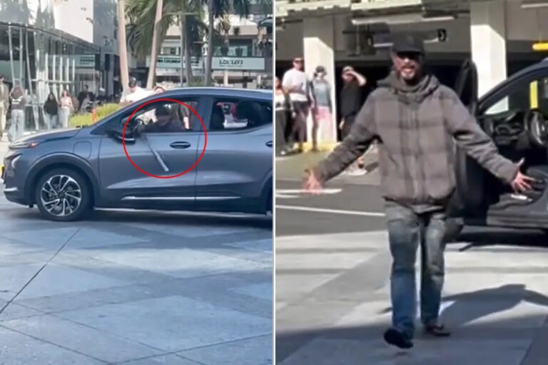 Santa Monica Crime Surge: Bat-Wielding Driver and Dog Cause Chaos Among Shoppers