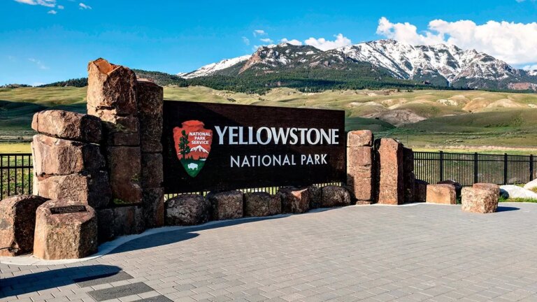 Bear Encounter in Yellowstone National Park Results in Injuries to Two Hikers